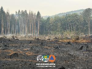 Bild: Waldbrand im Hosterwald: 78 Stunden gemeinsam gegen die Flammen
