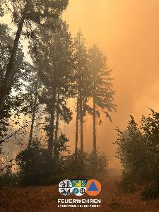 Bild: Waldbrand im Hosterwald: 78 Stunden gemeinsam gegen die Flammen