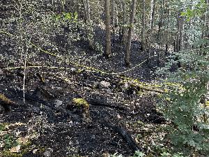 Bild: Großer Vegetationsbrand auf einer Bergehalde bei Wiebelskirchen (Foto: Andreas Kuhn - Landkreis Neunkirchen)