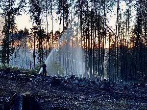 Bild: Feuerwehr Eppelborn unterstützte bei großem Waldbrand bei Ottweiler