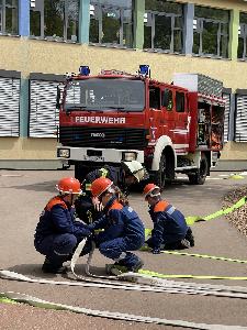 Bild: