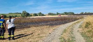 Bild: Großer Flächenbrand bei Lautenbach