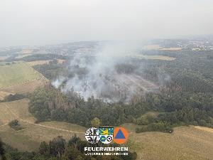 Bild: Waldbrand im Hosterwald: 78 Stunden gemeinsam gegen die Flammen