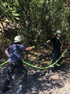 Bild: Großer Flächenbrand bei Lautenbach