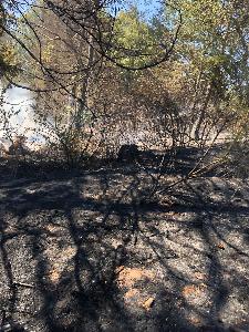 Bild: Großer Flächenbrand bei Lautenbach