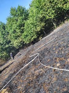 Bild: Großer Flächenbrand bei Lautenbach