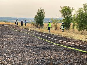 Bild: Stoppelfeld brannte im Ortsteil Wiesbach