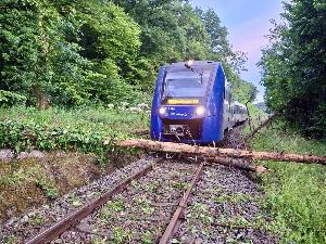 Bild: Umgestürzte Bäume auf der Bahnstrecke zwischen Bubach-Calmesweiler und Eppelborn