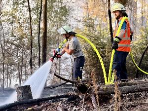 Bild: Feuerwehr Eppelborn unterstützte bei großem Waldbrand bei Ottweiler