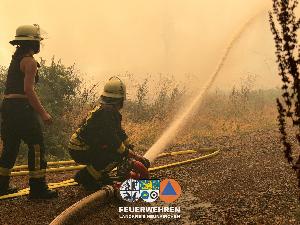 Bild: Waldbrand im Hosterwald: 78 Stunden gemeinsam gegen die Flammen