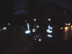 Bild: Ein umgestürzter Baum versperrte die Uchtelfanger Straße