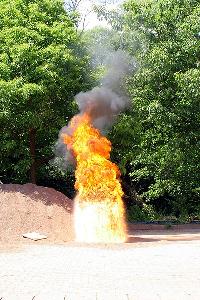 Bild: Impressionen der Florianstage 2005