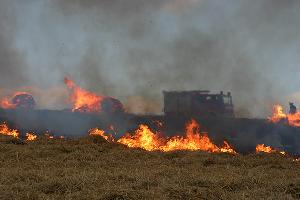 Bild: Auf einer Fläche von circa einem Hektar brannte Stroh und einige Rundballen auf dem Wackenberg