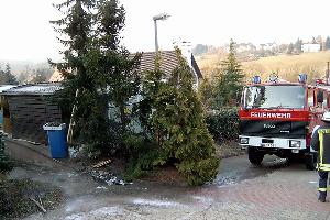 Bild: Beim Eintreffen der Feuerwehr hatten die Flammen bereits auf eine Fichte übergeriffen. Die Mülltonne wurde bei dem Brand völlig zerstört.