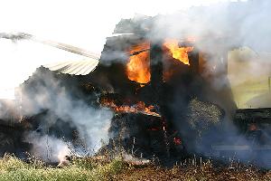 Bild: Das gepresste Stroh wurde kontrolliert abbrennen gelassen (Foto: Heike Blum)