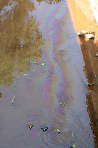 Bild: Gut zu erkennen: Der bunt schillernde Ölfilm auf der Wiesbach