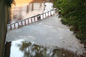 Bild: Aus einer Steckleiter und Folie wurde eine Ölsperre errichtet und Ölbindemittel auf das Gewässer aufgebracht