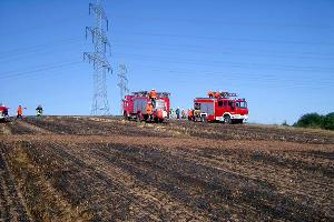 Bild: Ein ungefähr drei bis vier Hektar großes Stoppelstück brannte auf dem Bolzenberg