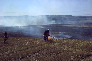 Bild: Mit Brandpatschen wurden die kleineren Brandherde gelöscht