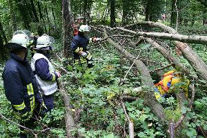 Bild: Zwei verletzte Waldarbeiter mussten von der Feuerwehr gerettet werden