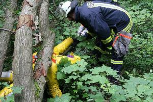 Bild: Unter einer Baumkrone eingeklemmt: Die Befreiung der Übungspuppen im unwegsamen Gelände war schwierig