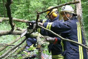 Bild: Freischneiden der Verletzten mit der Kettensäge. Feuerwehrleute absolvierten dazu eine Ausbildung an der Forstarbeitsschule
