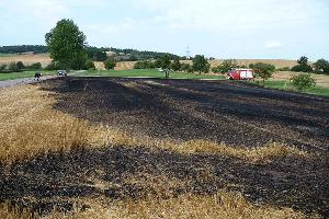 Bild: Große Teile des Feldes sind bei dem Feuer verbrannt