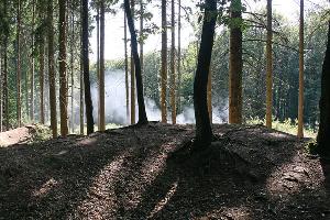 Bild: Mitte im Wald, in der Nähe des Sportplatzes war ein Schwelbrand ausgebrochen