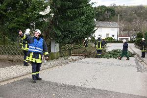 Bild: Umgestürzte Bäume versperrten zahlreiche Straßen im Gemeindegebiet
