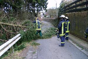 Bild: Versperrte Straßen durch Orkantief Xynthia