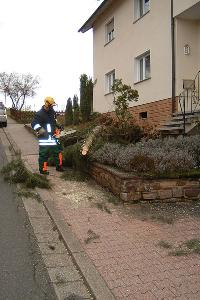 Bild: Einsatz der Motorsäge zum Zerkleinern eines umgestürzten Baumes
