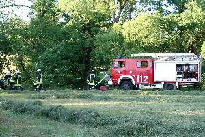 Bild: Waldbrandübung im Löschbezirk Bubach-Calmesweiler