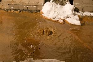 Bild: Sprudelnd drang das Wasser aus der Bruchstelle vor dem Haus an die Oberfläche