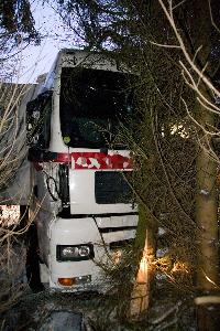 Bild: Kurz vor den Bäumen kam das Zugfahrzeug zum Stehen