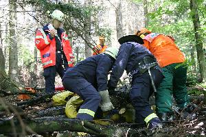 Bild: Rettung des eingeklemmten Waldarbeiters