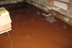 Bild: Die Kellerräume standen rund 20cm unter Wasser