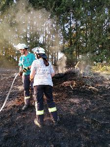 Bild: Großer Flächenbrand bei Lautenbach