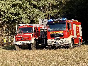 Bild: Vegetationsbrand zwischen Dirmingen und Berschweiler