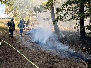 Bild: Vegetationsbrand zwischen Dirmingen und Berschweiler