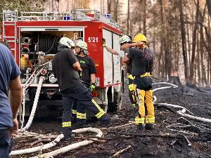 Bild: Feuerwehr Eppelborn unterstützte bei großem Waldbrand bei Ottweiler