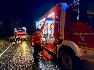 Bild: Umgestürzte Bäume auf der L301