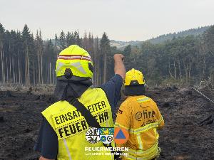 Bild: Waldbrand im Hosterwald: 78 Stunden gemeinsam gegen die Flammen