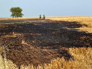 Bild: Stoppelfeld brannte im Ortsteil Wiesbach