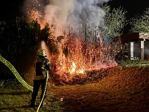 Bild: Brand einer Hecke in der Rathausstraße