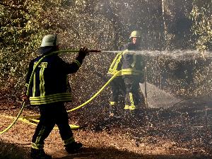 Bild: Vegetationsbrand zwischen Dirmingen und Berschweiler