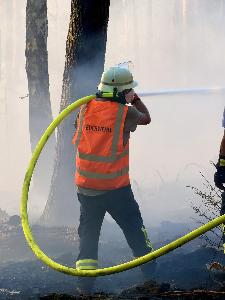 Bild: Feuerwehr Eppelborn unterstützte bei großem Waldbrand bei Ottweiler