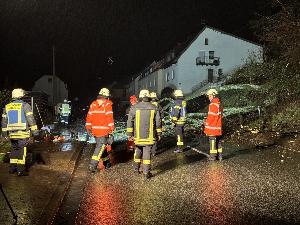 Bild: Umgestürzter Baum in der Kossmannstraße