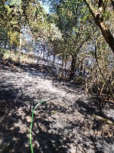 Bild: Großer Flächenbrand bei Lautenbach