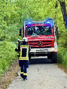 Bild: Brand im Wald zwischen Dirmingen und Berschweiler