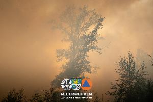 Bild: Waldbrand im Hosterwald: 78 Stunden gemeinsam gegen die Flammen